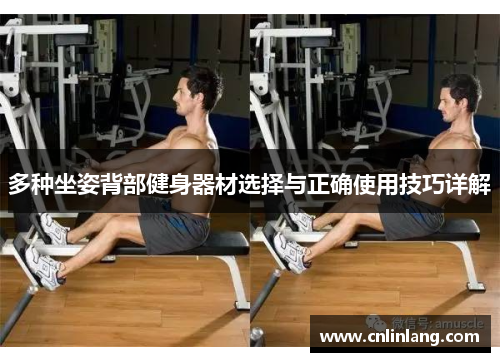 多种坐姿背部健身器材选择与正确使用技巧详解