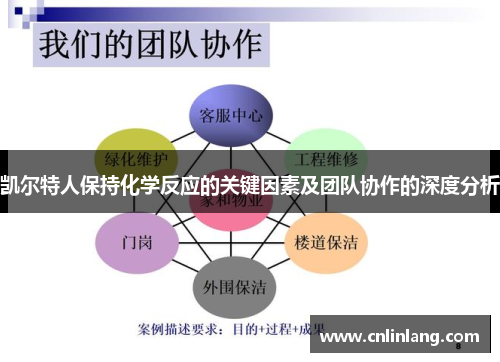 凯尔特人保持化学反应的关键因素及团队协作的深度分析
