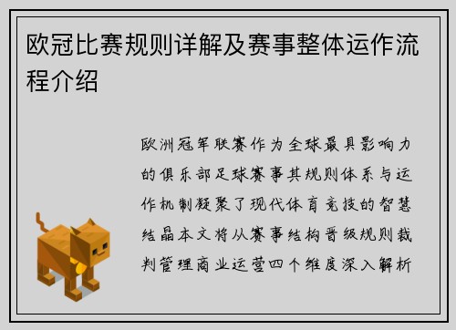 欧冠比赛规则详解及赛事整体运作流程介绍